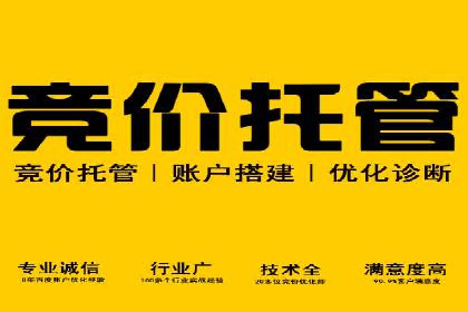 案例分享：SEM优化实战案例解析